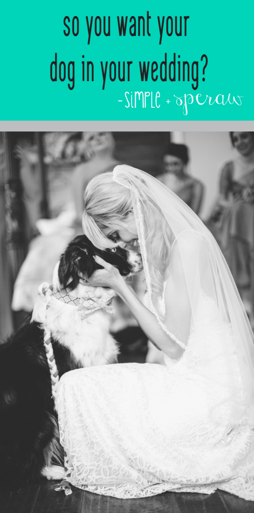 so you want your dog in your wedding-01-01